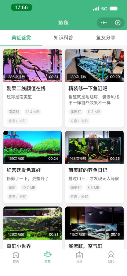 鱼鱼视频截图